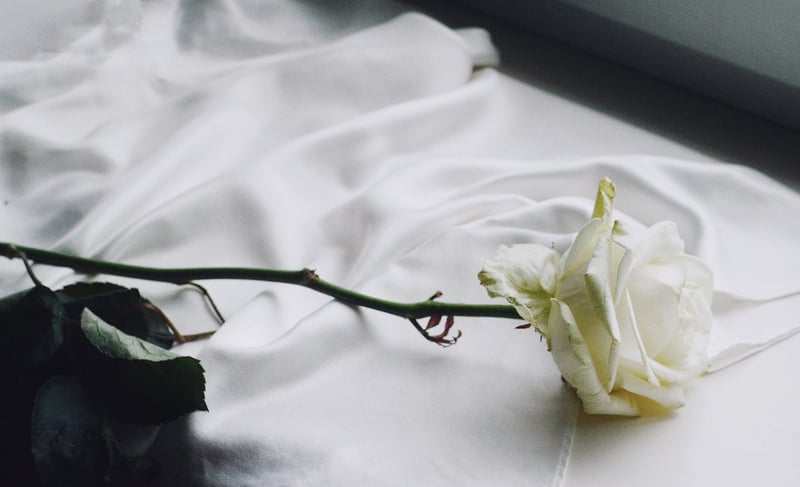 DIY Floral Arrangements